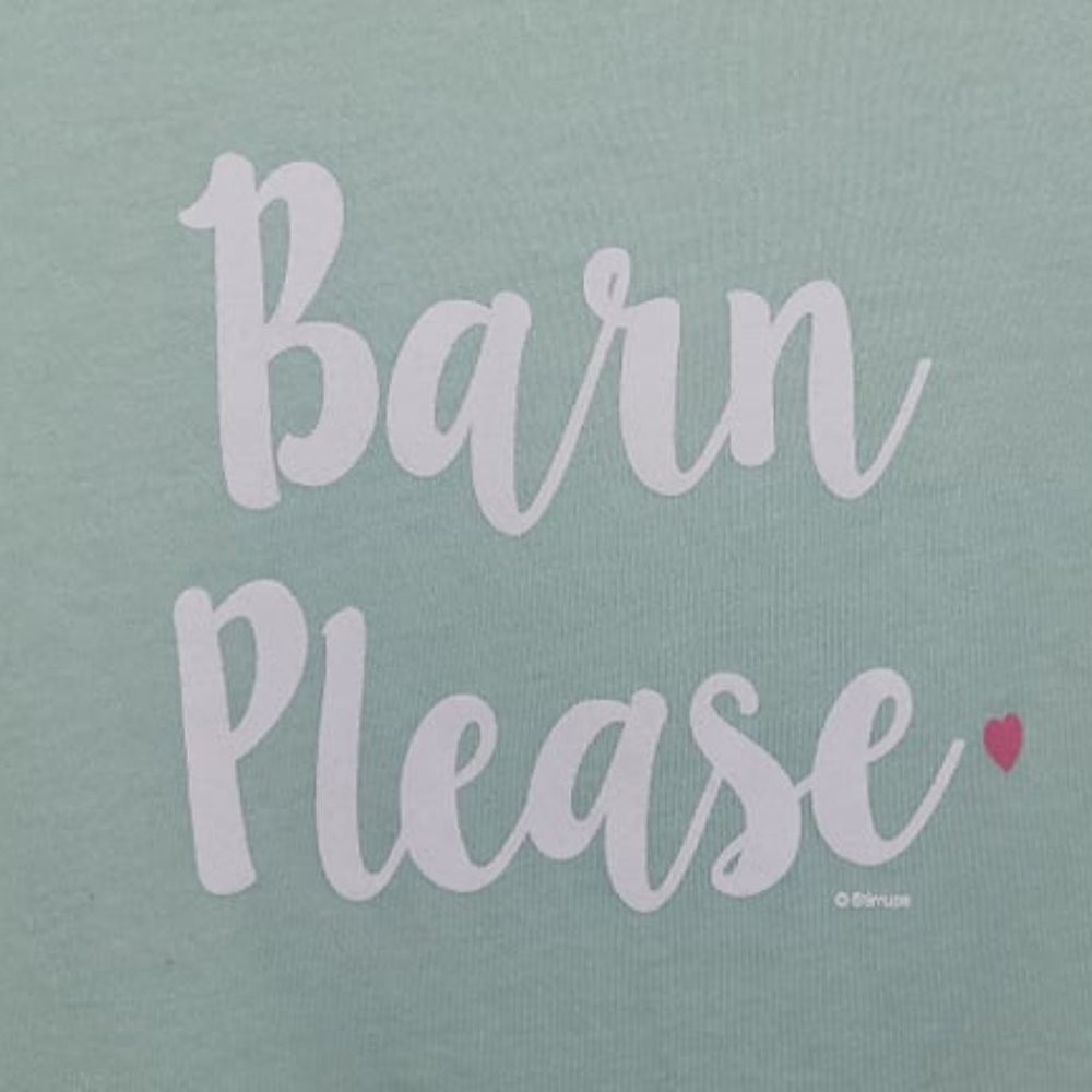 StirrupsXL graphic tee "Barn Please" seafoam green